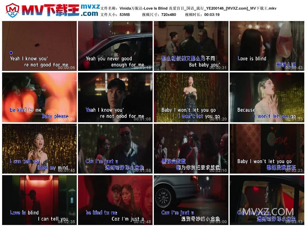 Vinida万妮达-Love Is Blind 真爱盲目_国语_流行_YE200146